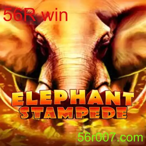 ElephantStampede